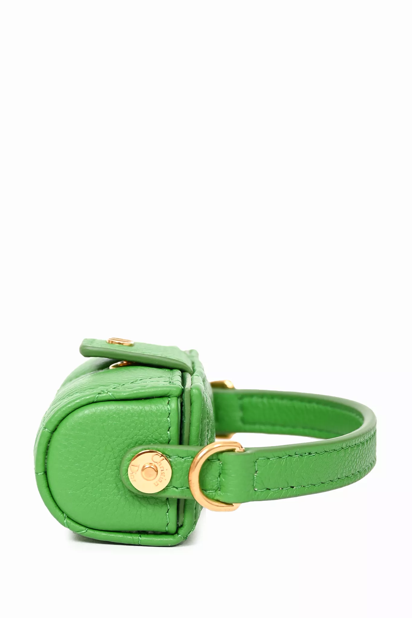 Christian Dior 2022 Green Caro Lipstick Bag with Chain